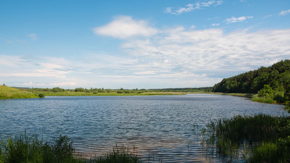 Ett undantag från strandskyddet